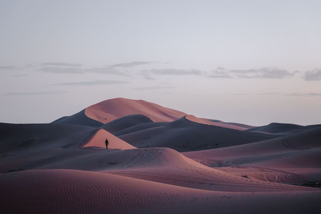 谁是孔门最可爱的弟子